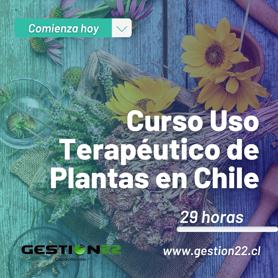 curso plantas medicinales otec gestion22