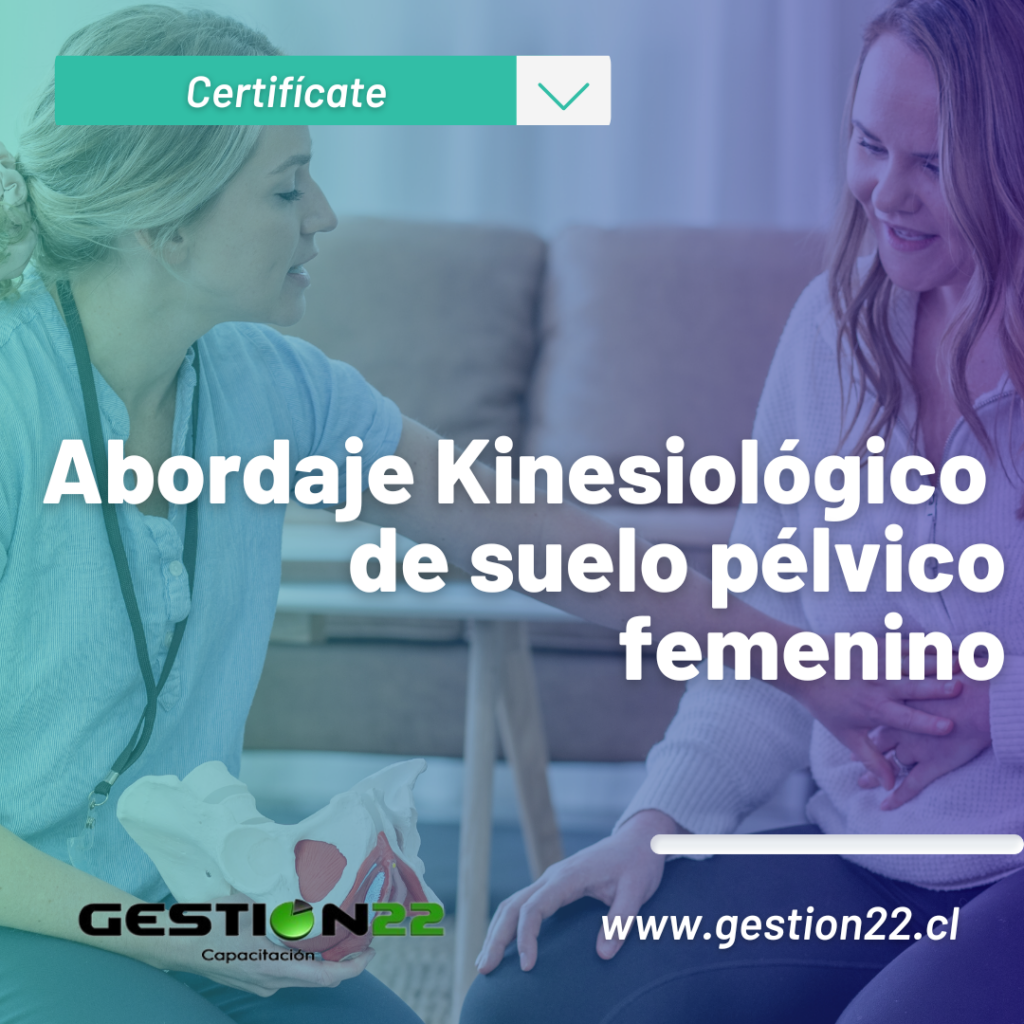 Curso abordaje kinesiologico de suelo pelvico femenino