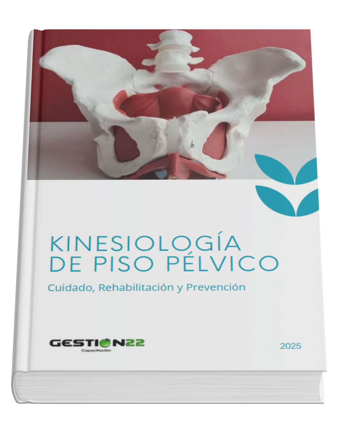 ebook piso pelvico