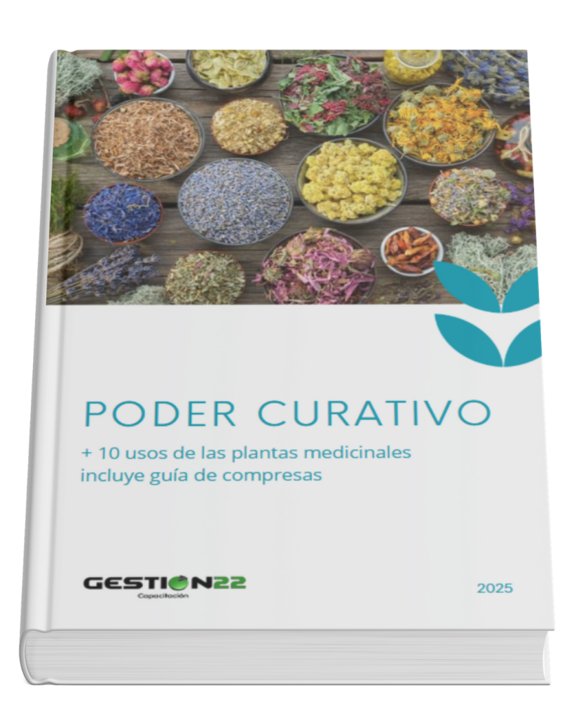 Ebook Plantas medicinales 10 usos